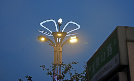 動感“現(xiàn)代銀杏”添彩大美德陽