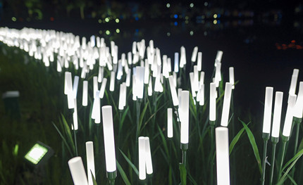 成都世警會(huì)正火熱開展，華體用夜景照明這樣添彩世警會(huì)