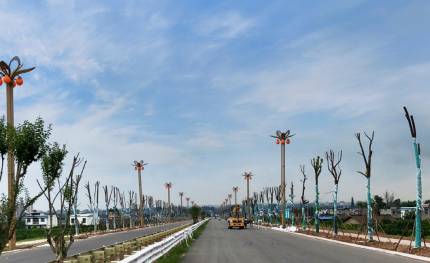 華光|照亮鄉(xiāng)村振興路！