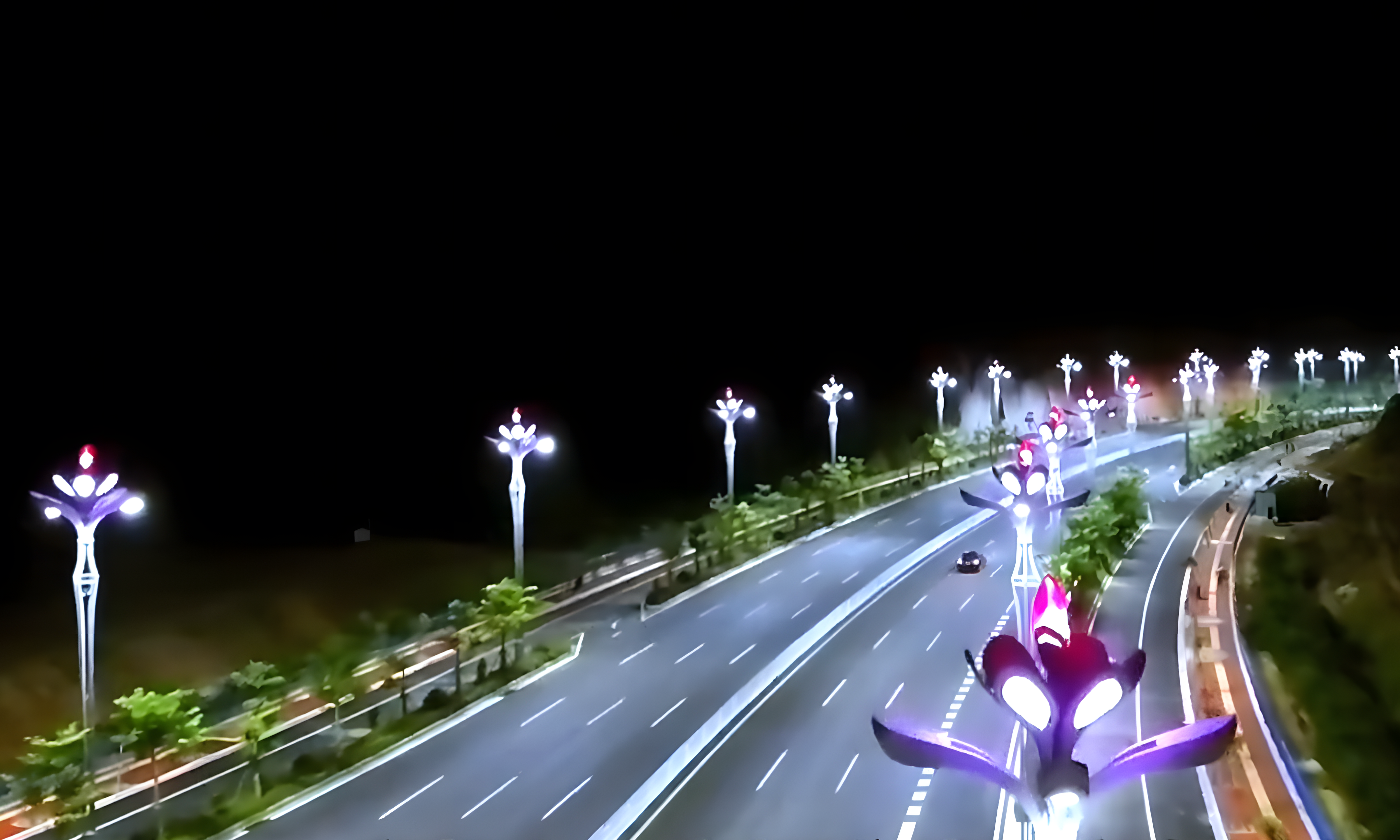 一城一特色，河池「山茶花」綻放新姿態(tài)