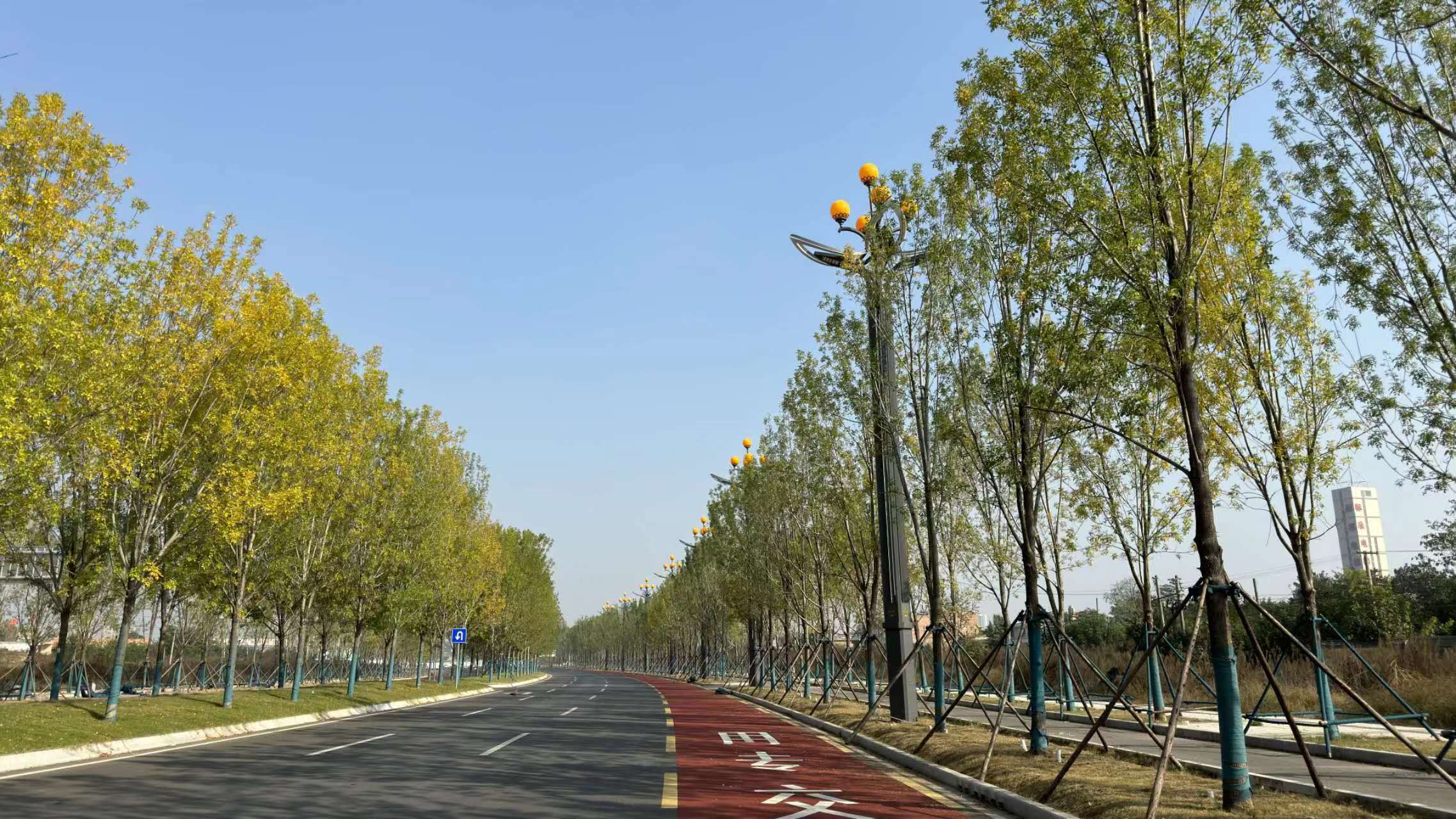 又上央視了！這次是因為“它”